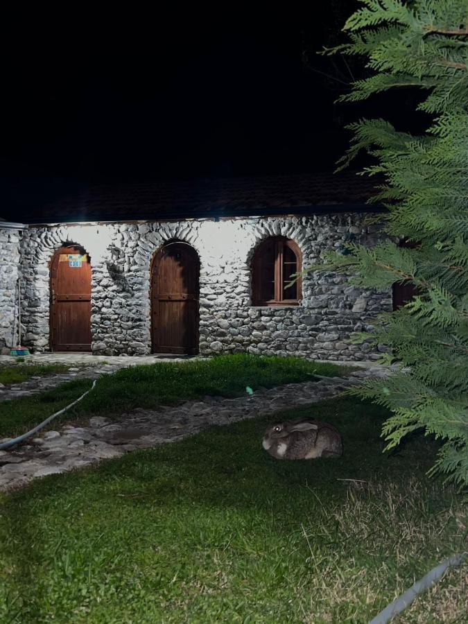 Windmill Shkodra Gesthouse Camping & Grill Exterior foto